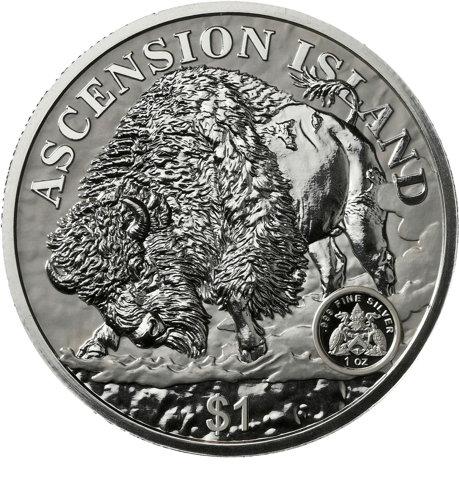 2024 silver buffalo coin