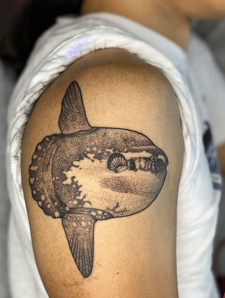 55 Unique Fish Tattoos Which You Never See In You Life  Picsmine