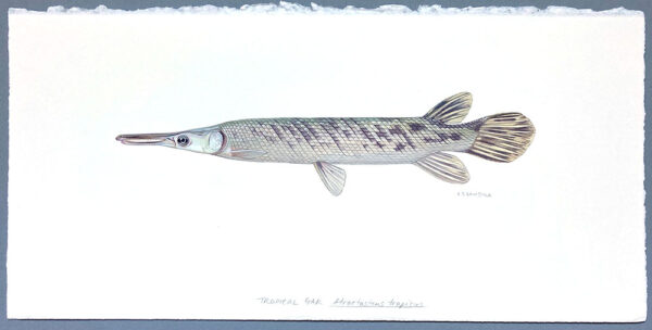 Tropical gar original painting